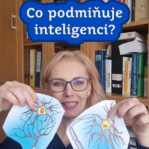 Co podmiňuje inteligenci?
